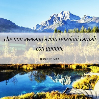 Picture 06 - Numeri 31:35 RIV - che non avevano avuto relazioni carnali con - Bible Verse Picture