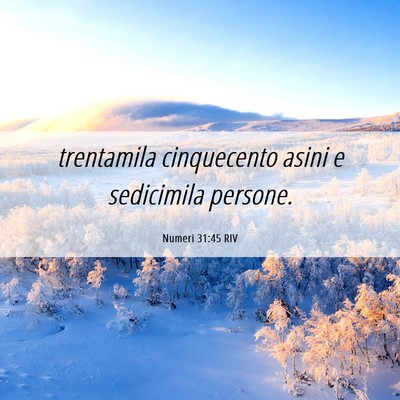 Picture 06 - Numeri 31:45 RIV - trentamila cinquecento asini e sedicimila - Bible Verse Picture