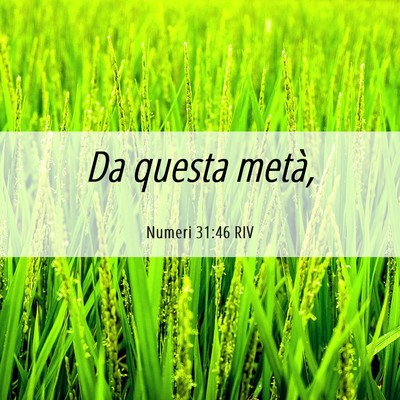 Picture 06 - Numeri 31:46 RIV - Da questa - Bible Verse Picture