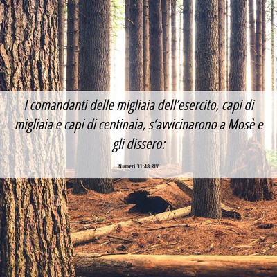Picture 06 - Numeri 31:48 RIV - I comandanti delle migliaia dell’esercito, capi - Bible Verse Picture