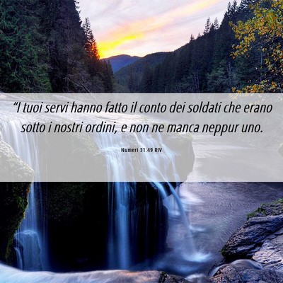 Picture 06 - Numeri 31:49 RIV - “I tuoi servi hanno fatto il conto dei soldati - Bible Verse Picture