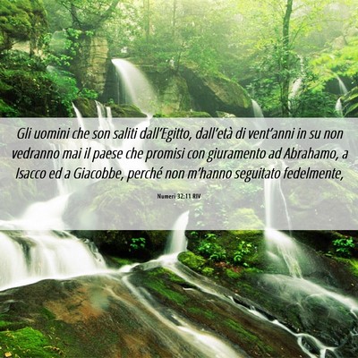 Picture 06 - Numeri 32:11 RIV - Gli uomini che son saliti dall’Egitto, - Bible Verse Picture