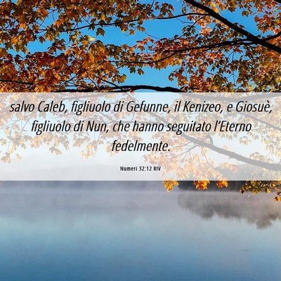 Picture 06 - Numeri 32:12 RIV - salvo Caleb, figliuolo di Gefunne, il Kenizeo, e - Bible Verse Picture