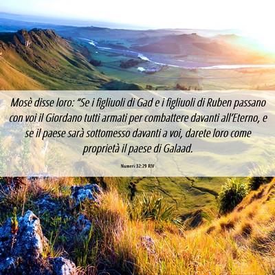 Picture 06 - Numeri 32:29 RIV - Mosè disse loro: “Se i figliuoli di Gad e i - Bible Verse Picture