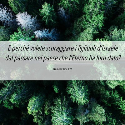 Picture 06 - Numeri 32:7 RIV - E perché volete scoraggiare i figliuoli - Bible Verse Picture