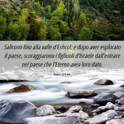 Picture 06 - Numeri 32:9 RIV - Salirono fino alla valle d’Eshcol; e dopo aver - Bible Verse Picture