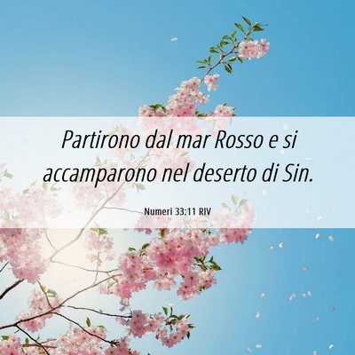 Picture 06 - Numeri 33:11 RIV - Partirono dal mar Rosso e si accamparono nel - Bible Verse Picture