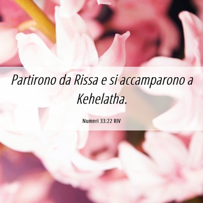 Picture 06 - Numeri 33:22 RIV - Partirono da Rissa e si accamparono a - Bible Verse Picture