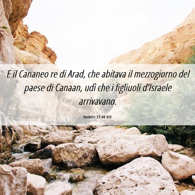 Picture 06 - Numeri 33:40 RIV - E il Cananeo re di Arad, che abitava il - Bible Verse Picture
