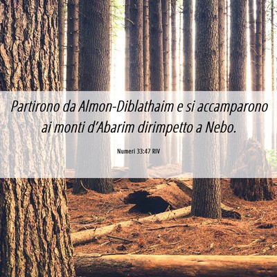 Picture 06 - Numeri 33:47 RIV - Partirono da Almon-Diblathaim e si accamparono ai - Bible Verse Picture
