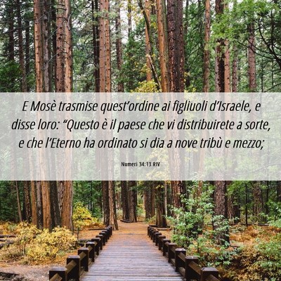 Picture 06 - Numeri 34:13 RIV - E Mosè trasmise quest’ordine ai figliuoli - Bible Verse Picture