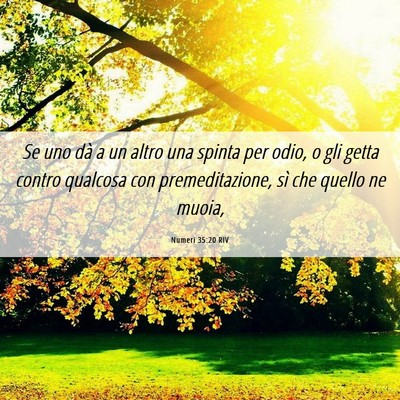 Picture 06 - Numeri 35:20 RIV - Se uno dà a un altro una spinta per odio, o gli - Bible Verse Picture