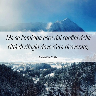 Picture 06 - Numeri 35:26 RIV - Ma se l’omicida esce dai confini della città - Bible Verse Picture