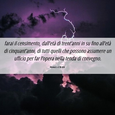 Picture 06 - Numeri 4:30 RIV - farai il censimento, dall’età di trent’anni - Bible Verse Picture