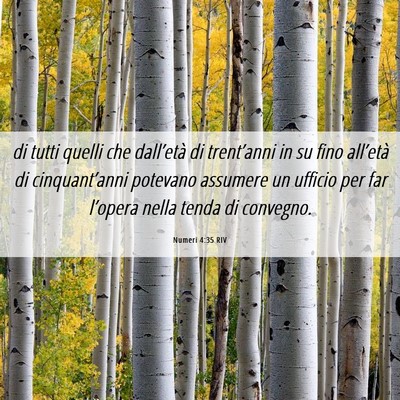 Picture 06 - Numeri 4:35 RIV - di tutti quelli che dall’età di trent’anni - Bible Verse Picture