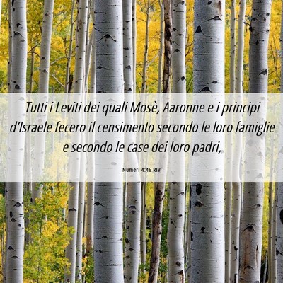 Picture 06 - Numeri 4:46 RIV - Tutti i Leviti dei quali Mosè, Aaronne e i - Bible Verse Picture