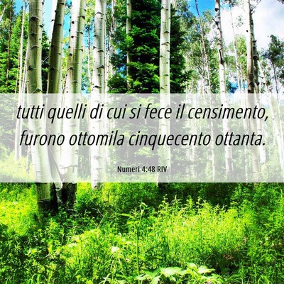 Picture 06 - Numeri 4:48 RIV - tutti quelli di cui si fece il censimento, furono - Bible Verse Picture