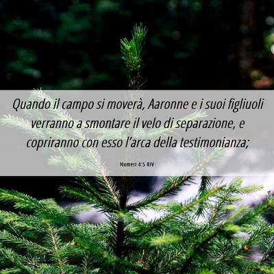 Picture 06 - Numeri 4:5 RIV - Quando il campo si moverà, Aaronne e i suoi - Bible Verse Picture