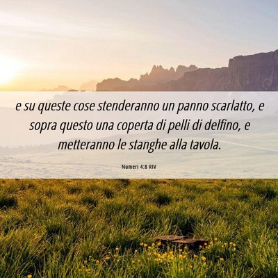 Picture 06 - Numeri 4:8 RIV - e su queste cose stenderanno un panno scarlatto, - Bible Verse Picture