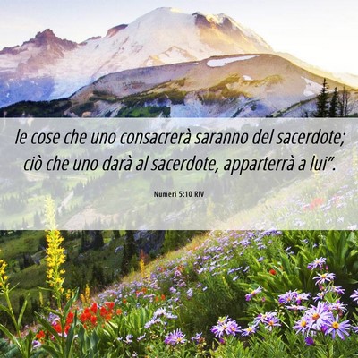 Picture 06 - Numeri 5:10 RIV - le cose che uno consacrerà saranno del - Bible Verse Picture