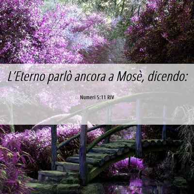 Picture 06 - Numeri 5:11 RIV - L’Eterno parlò ancora a Mosè, - Bible Verse Picture