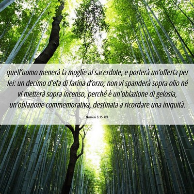 Picture 06 - Numeri 5:15 RIV - quell’uomo menerà la moglie al sacerdote, e - Bible Verse Picture