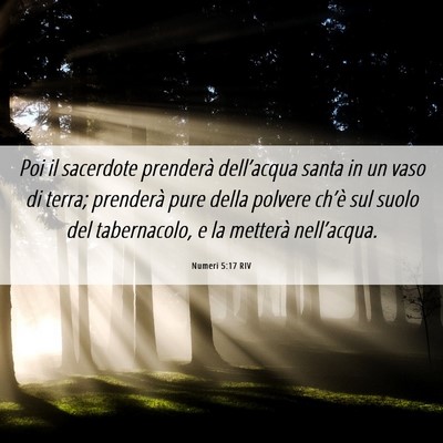 Picture 06 - Numeri 5:17 RIV - Poi il sacerdote prenderà dell’acqua santa in - Bible Verse Picture