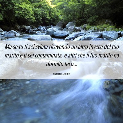 Picture 06 - Numeri 5:20 RIV - Ma se tu ti sei sviata ricevendo un altro invece - Bible Verse Picture