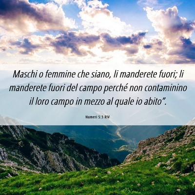 Picture 06 - Numeri 5:3 RIV - Maschi o femmine che siano, li manderete fuori; - Bible Verse Picture