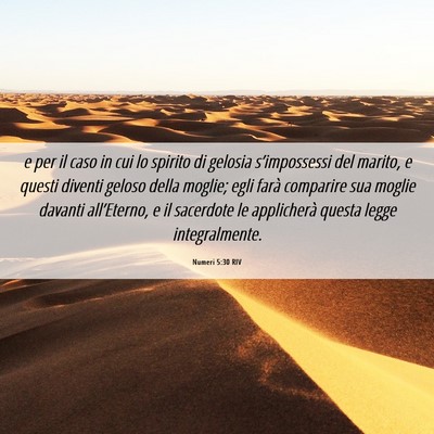 Picture 06 - Numeri 5:30 RIV - e per il caso in cui lo spirito di gelosia - Bible Verse Picture