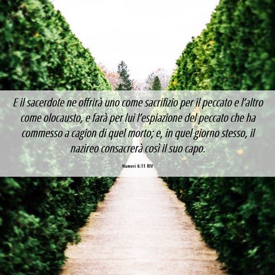 Picture 06 - Numeri 6:11 RIV - E il sacerdote ne offrirà uno come sacrifizio - Bible Verse Picture