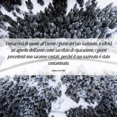 Picture 06 - Numeri 6:12 RIV - Consacrerà di nuovo all’Eterno i giorni del - Bible Verse Picture