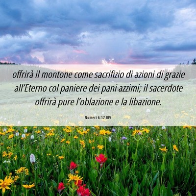 Picture 06 - Numeri 6:17 RIV - offrirà il montone come sacrifizio di azioni di - Bible Verse Picture