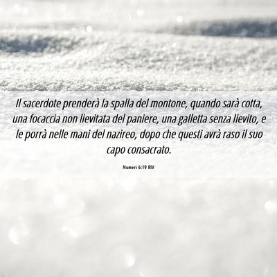 Picture 06 - Numeri 6:19 RIV - Il sacerdote prenderà la spalla del montone, - Bible Verse Picture
