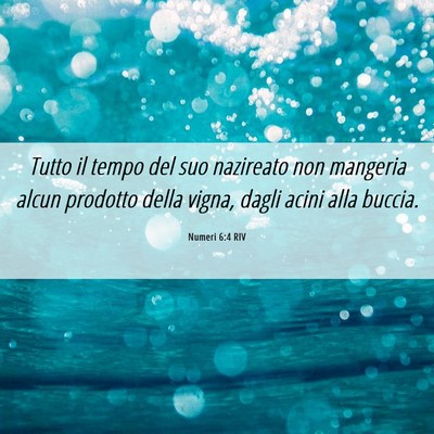 Picture 06 - Numeri 6:4 RIV - Tutto il tempo del suo nazireato non mangeria - Bible Verse Picture