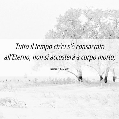 Picture 06 - Numeri 6:6 RIV - Tutto il tempo ch’ei s’è consacrato - Bible Verse Picture