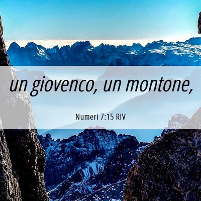 Picture 06 - Numeri 7:15 RIV - un giovenco, un - Bible Verse Picture
