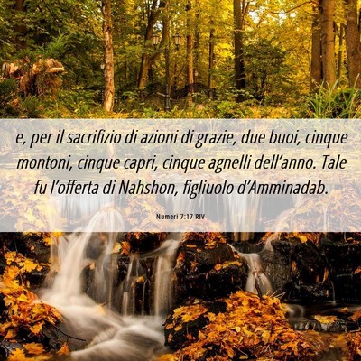 Picture 06 - Numeri 7:17 RIV - e, per il sacrifizio di azioni di grazie, due - Bible Verse Picture