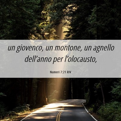 Picture 06 - Numeri 7:21 RIV - un giovenco, un montone, un agnello dell’anno - Bible Verse Picture