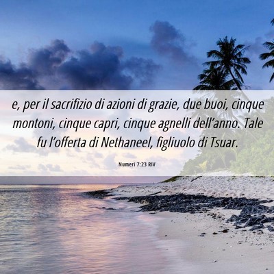 Picture 06 - Numeri 7:23 RIV - e, per il sacrifizio di azioni di grazie, due - Bible Verse Picture