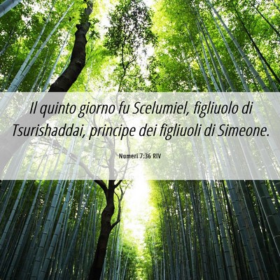 Picture 06 - Numeri 7:36 RIV - Il quinto giorno fu Scelumiel, figliuolo di - Bible Verse Picture