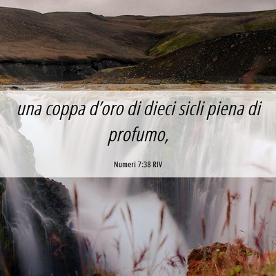 Picture 06 - Numeri 7:38 RIV - una coppa d’oro di dieci sicli piena di - Bible Verse Picture