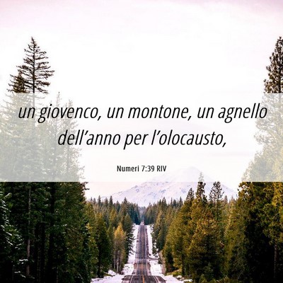 Picture 06 - Numeri 7:39 RIV - un giovenco, un montone, un agnello dell’anno - Bible Verse Picture