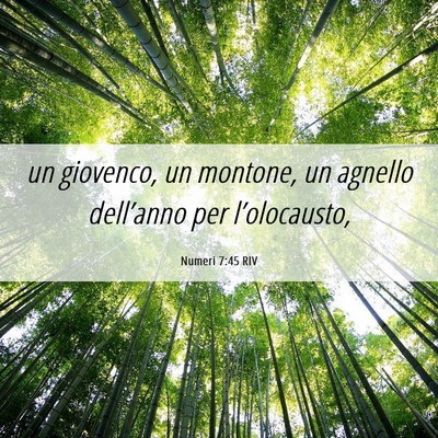 Picture 06 - Numeri 7:45 RIV - un giovenco, un montone, un agnello dell’anno - Bible Verse Picture