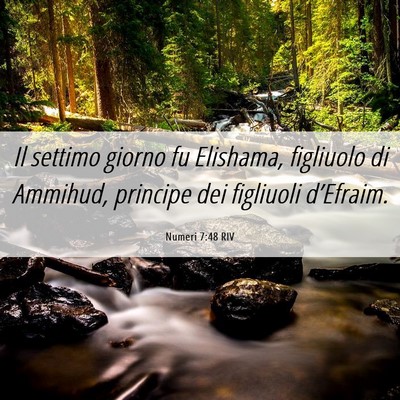 Picture 06 - Numeri 7:48 RIV - Il settimo giorno fu Elishama, figliuolo di - Bible Verse Picture