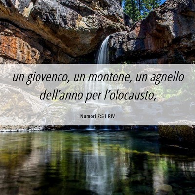 Picture 06 - Numeri 7:51 RIV - un giovenco, un montone, un agnello dell’anno - Bible Verse Picture