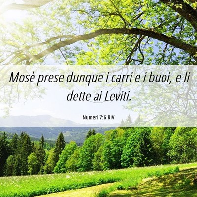 Picture 06 - Numeri 7:6 RIV - Mosè prese dunque i carri e i buoi, e li dette - Bible Verse Picture