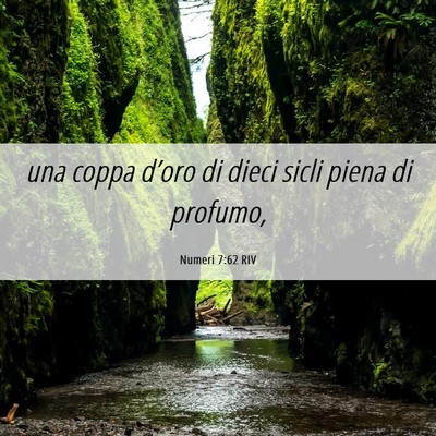 Picture 06 - Numeri 7:62 RIV - una coppa d’oro di dieci sicli piena di - Bible Verse Picture