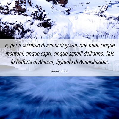 Picture 06 - Numeri 7:71 RIV - e, per il sacrifizio di azioni di grazie, due - Bible Verse Picture