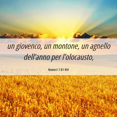 Picture 06 - Numeri 7:81 RIV - un giovenco, un montone, un agnello dell’anno - Bible Verse Picture